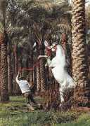 Elnoor
