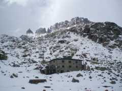 Elola