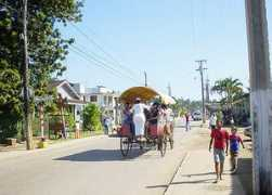 tampapix.com Elrincon