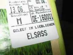 Elsass