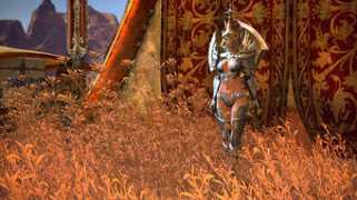 tera.enmasse.com Elsine
