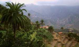 mygomera.de Eltion