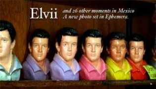 Elvii
