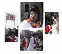 Elvii