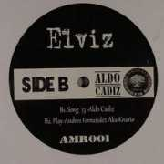 Elviz