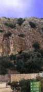 Elwad
