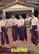 Elwins