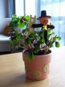 dekooder.blog.hu Emeraldo