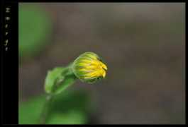 Emerge