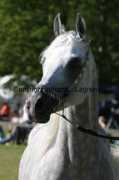johannalagnevall.com Emiliusz
