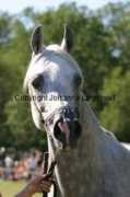johannalagnevall.com Emiliusz