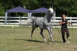 johannalagnevall.com Emiliusz