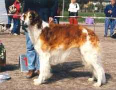 hund.ch Emirah