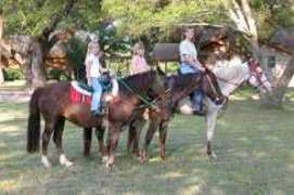 horsebackridingstables.com Empasis