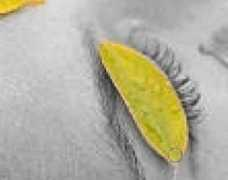 freetechnique.com Emphasize