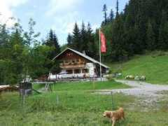panoramio.com Emser