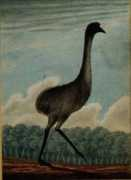Emue