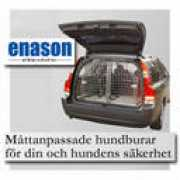 Enason