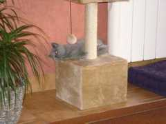 lejardindescarlett.com Endersen