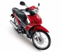 Endok