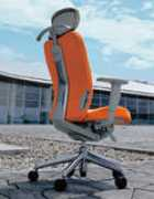 Eneir