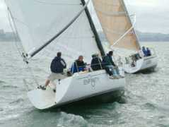 ravencruise.com Enfinity