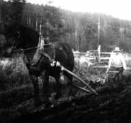 gorgen.trandansen.se Enfrid
