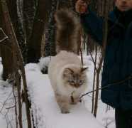 Enisey