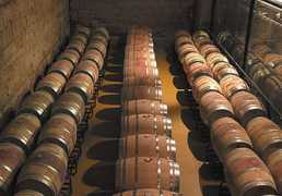 absolutburgos.com Enoturismo