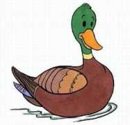 Ente