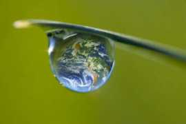 blog.legrenierdulin.com Environnement