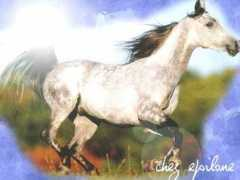 eloise.coquard.free.fr Epsilone