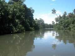 Epule
