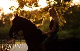 Equine