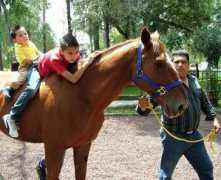 entornointeligente.com Equinoterapia