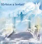 myanimelist.net Eraiza