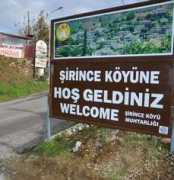Ereke