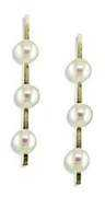 professionaljeweler.com Erenesto