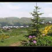 fotokritik.com Ericok