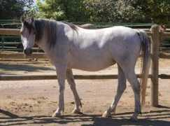twomountainranch.com Erikarose