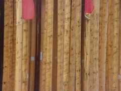 specialart.ch Erleben