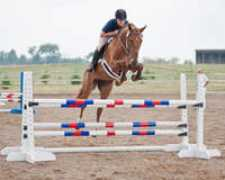claybrookfarms.com Ersina