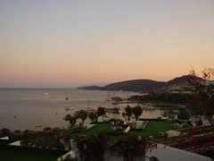 Ertekin