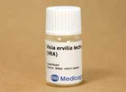Ervilia