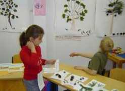 tami-oelfken-schule.de Erzana