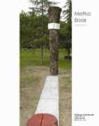 Erzar