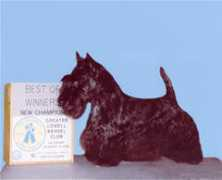 rococoscotties.com Escander