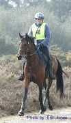 Eskar