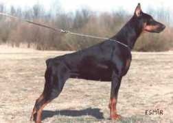 Esmir