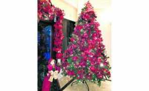 entornointeligente.com Especialista